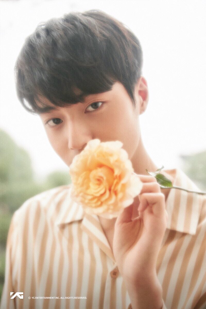 CXCX12345's tweet photo. 115.YG 보석함 연습생,, 와타나베 하루토 https://t.co/JuE43wGXCb