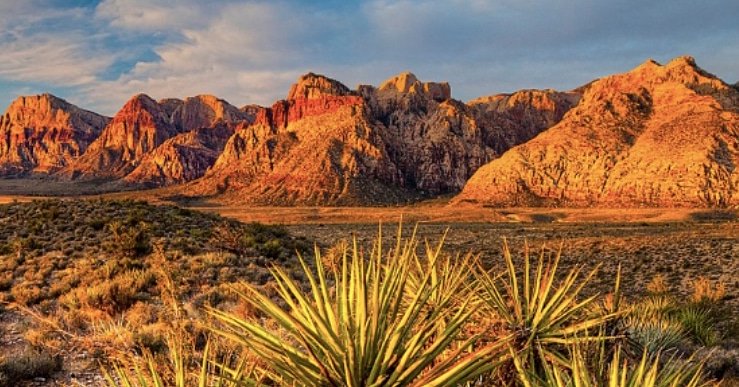 DSWCashFlow's tweet image. There is still time to fund your self-directed IRA!
You have until April 15th 2019... Download our complimentary IRA Investing Guide below:
directsourcewealth.com/2019/01/03/tim…
#realestate #investing #cashflow #passiveincome #syndication #compoundinterest #kiragolden #directsourcewealth