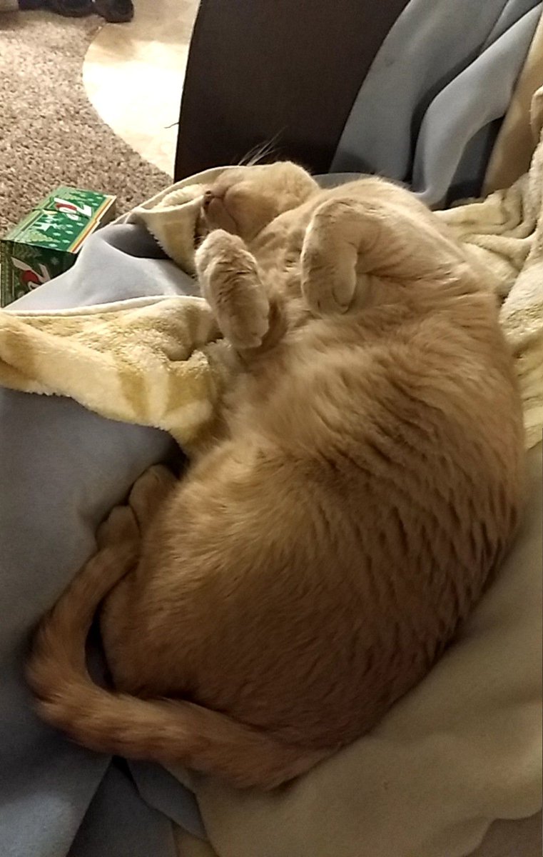 GarfMic's tweet image. 😴