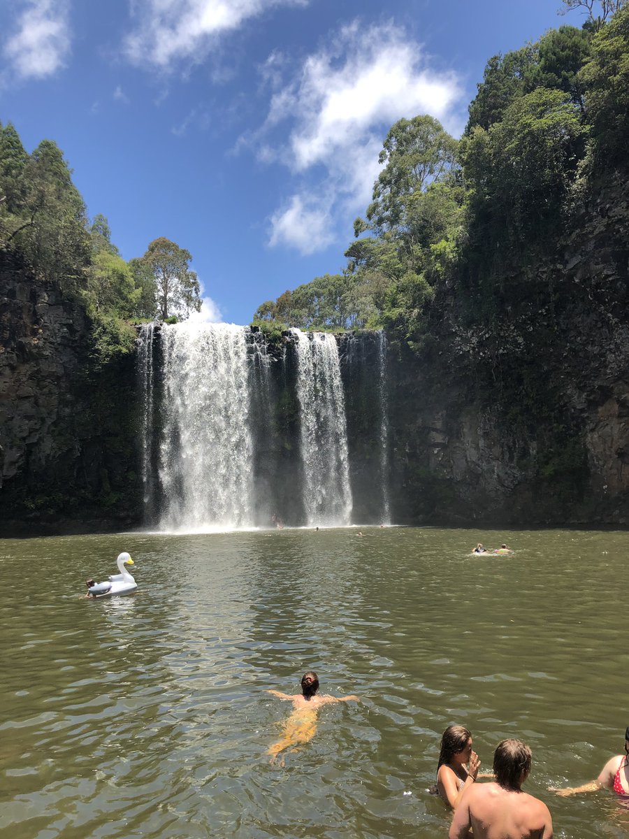 DanStrickAus's tweet photo. Beautiful spot Dangar Falls, Dorrigo. #dorrigo #dangarfalls https://t.co/1hJcxchOdz