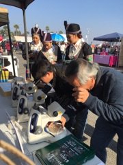 Sunny Yang from the lab helping at Fresno Hmong New Year with UCCE Cooperative Extension Michael Yang and Ruth Dahlquist-Willard, showing old and young farmers insect pests and their natural enemies to discuss how to farm with fewer pesticides.
