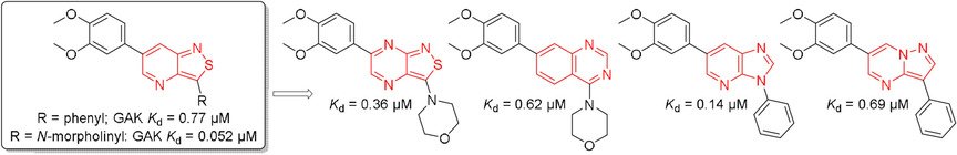 ChemMedChem's tweet photo. S. De Jonghe et al. @LeuvenU report a #scaffoldhopping strategy to identify cyclin G associated #kinase inhibitors #heterocycles #drugdiscovery https://t.co/wLM5E3Kzj6 https://t.co/S7yuBEf1l7