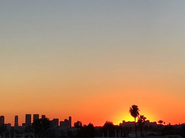 PhilMissig's tweet photo. LA Winter
·
#Sunset #Hollywood #CenturyCity #SantaMonica #WestCoast #PalmTree #Sky #landscape #endofday #horizon #losangeles #silohuette #photography #amoment #california #realestate #beverlyhills #PhilMissig #philmexposed https://t.co/pCFZAQ20Mr https://t.co/5RpdF5xMDt