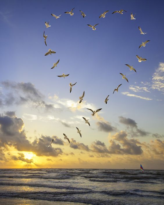 <a href="/felic_palma/">Felic</a> <a href="/LiliBodo/">🌸.•° Lily #TMLILY °•.🌸#MEL_LILY</a> <a href="/bordong2/">GΣЯΛ</a> @FerMejia66 <a href="/Zuzu12857394/">Zuzu ℒℴѵℯ ❥‏»⇣✵</a> @vianaGains <a href="/SergioA60798547/">Sergio</a> <a href="/ManishNPardeshi/">Manish N Pardeshi</a> #MEL_LILY 💕#TMLILY
#TeamDollNature .
I
╭ 🌿🌷 ╮ <a href="/LiliBodo/">🌸.•° Lily #TMLILY °•.🌸#MEL_LILY</a> 
╰ 💟❣️ ╯ <a href="/bordong2/">GΣЯΛ</a>
╭ 🌿🌷    @FerMejia66
╰ 💟❣️ ╯ <a href="/Zuzu12857394/">Zuzu ℒℴѵℯ ❥‏»⇣✵</a>
╭ 🌿🌷 ╮<a href="/vianagains/">☮ PEACE & LOVE ☮ #TeamDollNature</a> 
╰ 💟❣️ ╯<a href="/insaurraldeh/">⭐POLI⭐ #MGWV⭐</a>
╭ 🌿🌷╮<a href="/SergioA60798547/">Sergio</a>
╰ 💟❣️╯<a href="/ManishNPardeshi/">Manish N Pardeshi</a>
teamtrdoll.blogspot.com.es