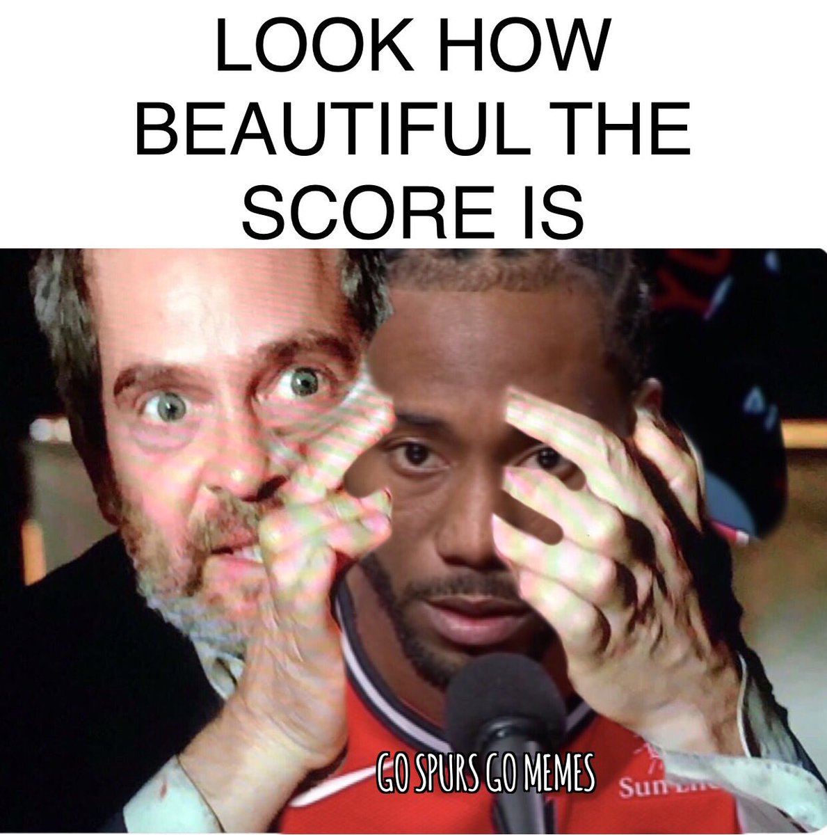 #GoSpursGo #Birdbox #GoSpursGoMemes