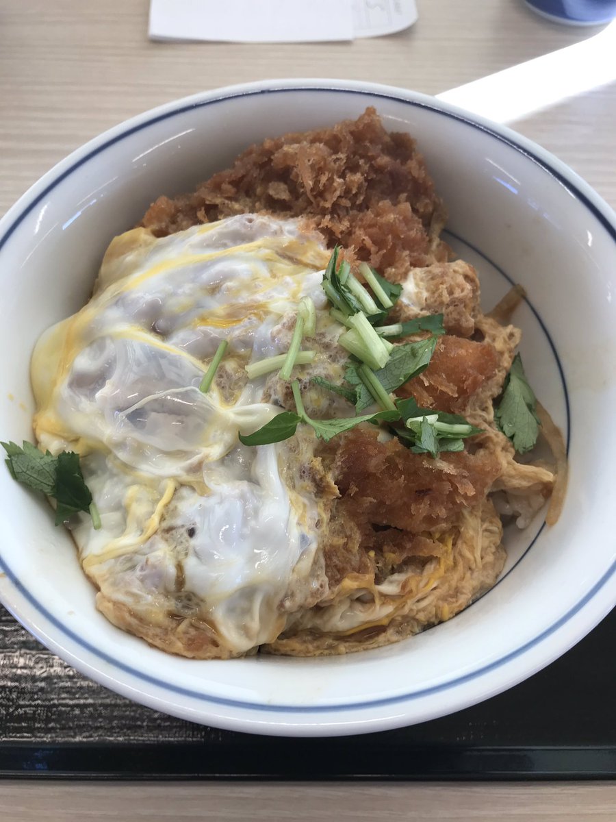 This is Katsudon