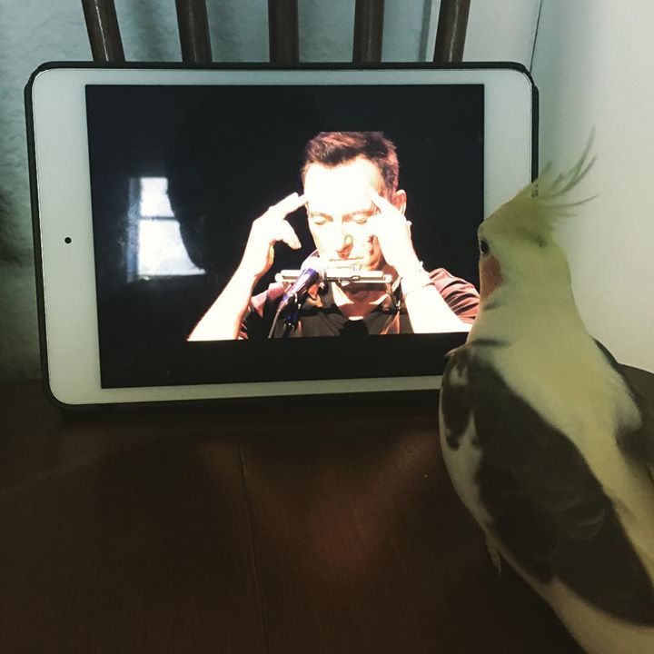 AlexElbery's tweet image. ...meanwhile in the #strangerzone