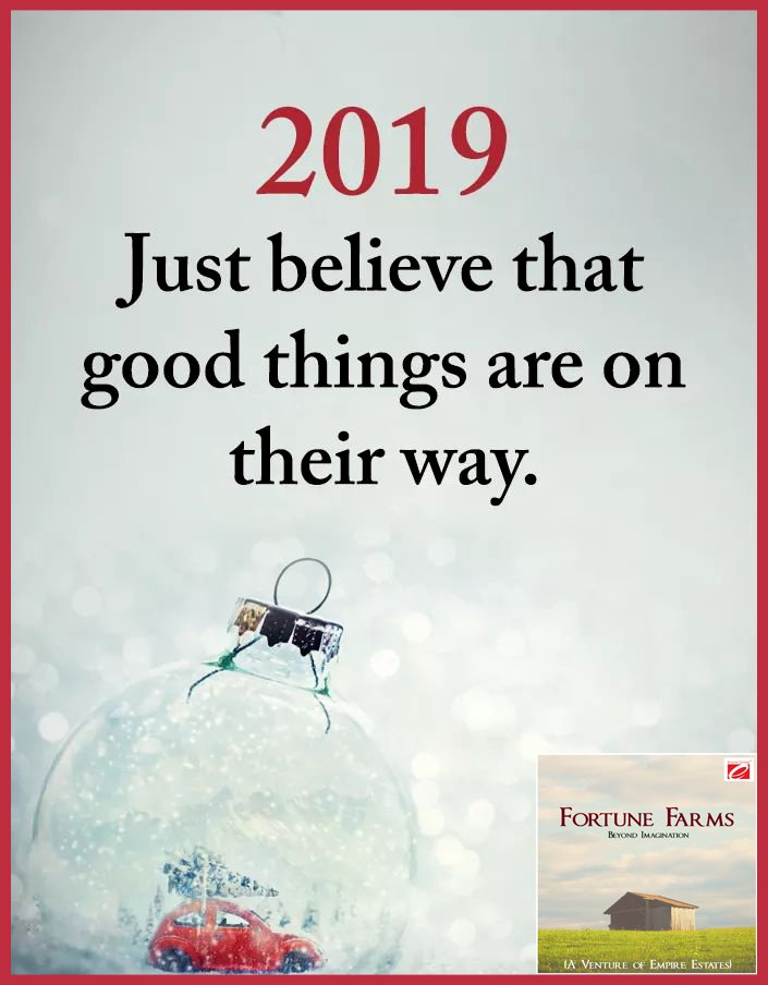 FarmsFortune's tweet photo. 2019 | Just Believe that good things are on their way.

#FortuneFarms #FarmLife #Agriculture #AgroFarming #AndhraPradesh #Hindupur #Karnataka #Bengaluru #EmpireEstates #NewVenture https://t.co/40gvLtSlJc