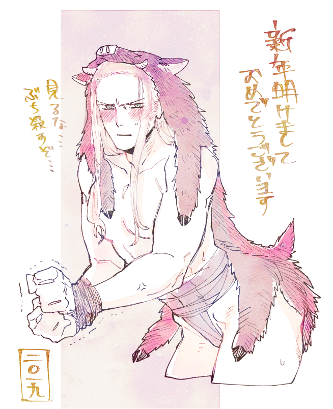 遅ればせながら謹賀新年 