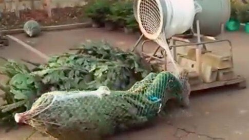Man Gets Wrapped Like Christmas Tree

From The Weather Channel iPhone App