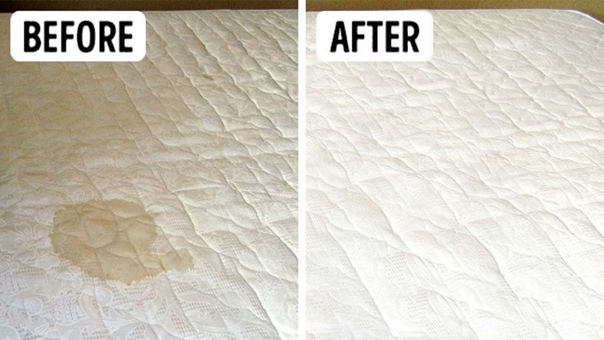 Vipcleaningser's tweet photo. Looking for #DIYMethods to #removestain from your mattresses.
Here we bring the tips, which is specially given by professional and it definitely works on all kind of stains.
Get more details: https://t.co/yc7S7tPnJl
#DIYMattressCleaningTips #MattressStainRemovingTips https://t.co/rqExscGMt2