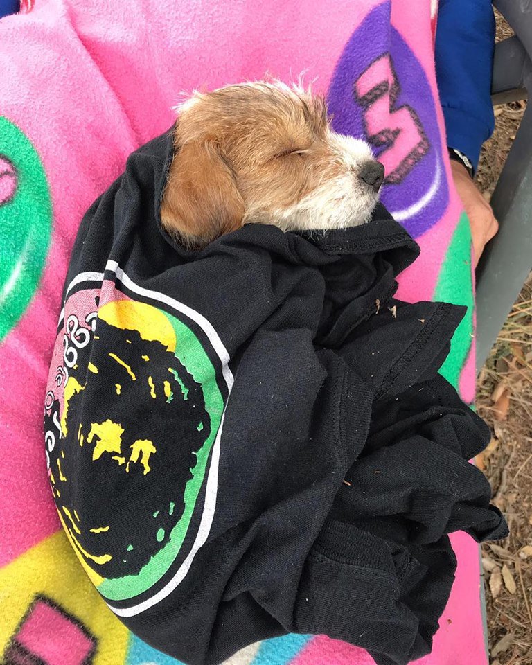 ReggaeSeeds's tweet photo. We love jack  ❤️ https://t.co/J22LkCrbnE