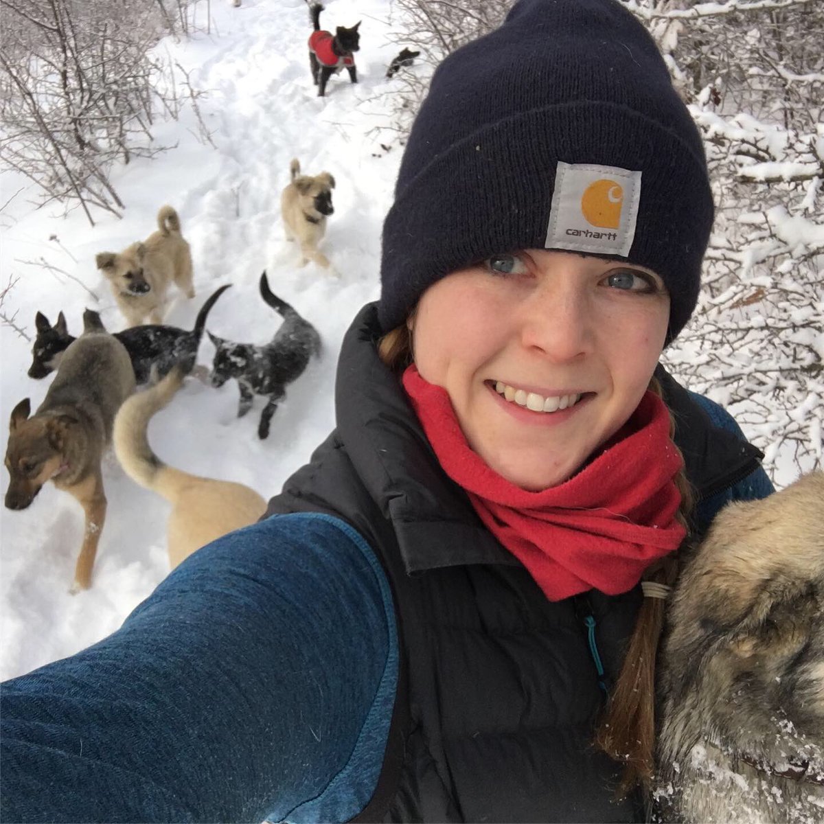 StreetHeartsBG's tweet photo. It snowed a little overnight at Street Hearts BG! #rescuedogs #AdoptDontShop #packwalk #walkies #dogsoftwitter #freshpowder #powderheads #snow #freshtracks #breakingtrail https://t.co/oYVfRyc6BH