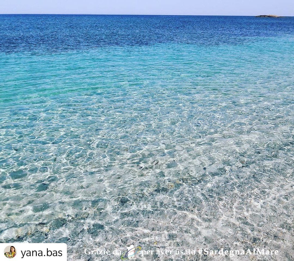 Sardegnaalmare On Twitter Grazie A At January 04 2019 At