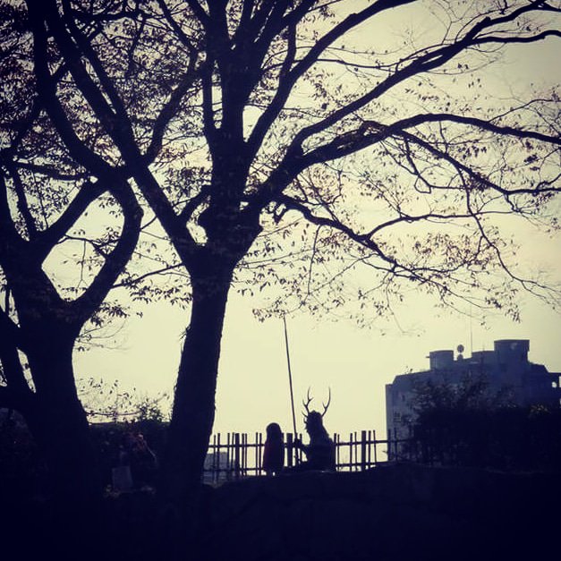 過去のインスタ画像を紹介
#木陰 #女の子 #おもてなし #写真撮影 #写真撮ってください #かわいい #いいよ #微笑ましい #子供との時間 #何気ない風景 #何気ない景色 #姫路城 #甲冑隊 #甲冑 #武将 #武者 #山中鹿介 #山中鹿之助 #山中鹿之介 #山中幸盛 #侍 #サムライ #姫路城武将隊 #コスプレ