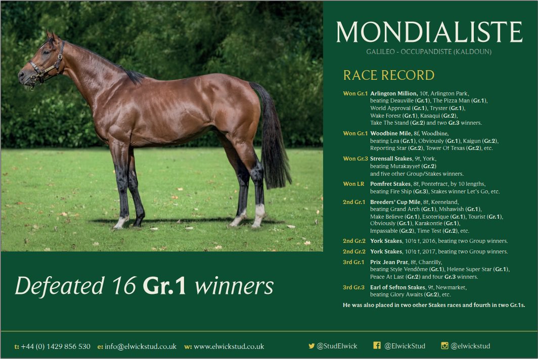 StudElwick's tweet photo. Retired sound of wind and limb, MONDIALISTE proved versatile and hardy whilst racing a trait we hope to see in his progeny. Get in touch to secure the best deal nominations@elwickstud.co.uk or 01429 856503. https://t.co/dhsUyz2S1V