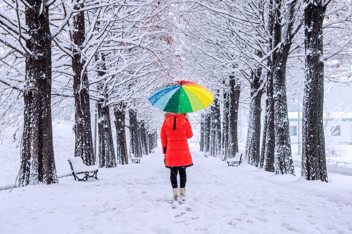 tyoterveys's tweet photo. Ehkäise liukastuminen, tarkista sää ennakolta @meteorologit. Valitse kengät sään mukaan. #pysypystyssa #tyomatka @kotitapaturma @nollatapaturmaa https://t.co/yJMlqKItHR https://t.co/CPO1HGSVjX