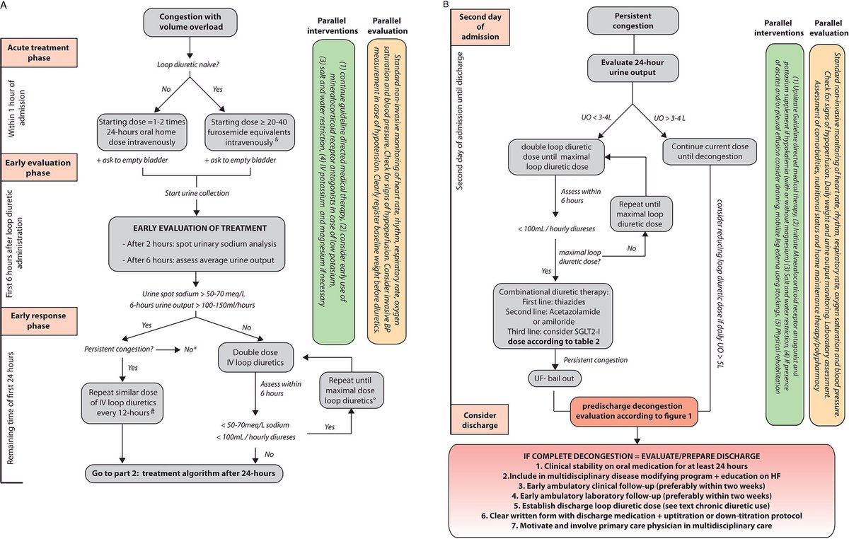 Konstantin Krychtiuk (@krychtiukmd) on Twitter photo The use of diuretics in heart failure with congestion — a position paper by the <a href="/escardio/">European Society of Cardiology</a> #heartfailure association!
#Cardiology #Cardiotwitter <a href="/ESC_Journals/">European Society of Cardiology Journals</a> <a href="/r_wurm/">Raphael Wurm</a> <a href="/CNCFCardio/">CNCFCardio</a> <a href="/SRCCardio/">Societatea Romana de Cardiologie</a> <a href="/proftomquinn/">Tom Quinn etc.</a> <a href="/cvrints/">Christiaan JM Vrints</a> <a href="/Ana_Viana_T/">Ana Viana Tejedor</a> <a href="/SJGreene_md/">Steve Greene</a>
onlinelibrary.wiley.com/doi/10.1002/ej… The use of diuretics in heart failure with congestion — a position paper by the <a href="/escardio/">European Society of Cardiology</a> #heartfailure association!
#Cardiology #Cardiotwitter <a href="/ESC_Journals/">European Society of Cardiology Journals</a> <a href="/r_wurm/">Raphael Wurm</a> <a href="/CNCFCardio/">CNCFCardio</a> <a href="/SRCCardio/">Societatea Romana de Cardiologie</a> <a href="/proftomquinn/">Tom Quinn etc.</a> <a href="/cvrints/">Christiaan JM Vrints</a> <a href="/Ana_Viana_T/">Ana Viana Tejedor</a> <a href="/SJGreene_md/">Steve Greene</a>
onlinelibrary.wiley.com/doi/10.1002/ej…