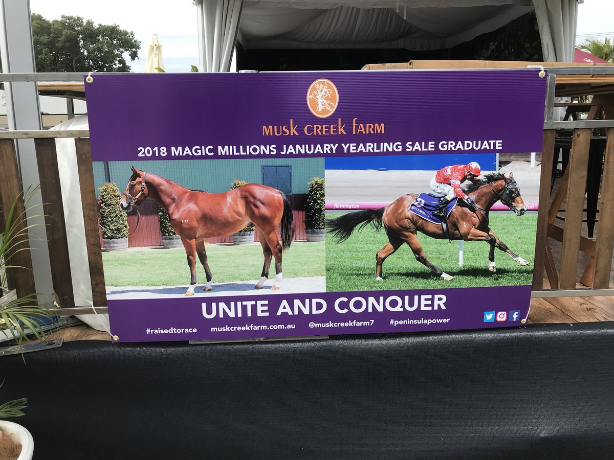 Musk Creek Farm (@muskcreekfarm) on Twitter photo A solid day of parading <a href="/mmsnippets/">Magic Millions</a> with plenty of interest. Our draft has something for everyone and could contain the next Unite And Conquer!!! <a href="/GaiWaterhouse1/">Gai Waterhouse AO</a> <a href="/BlueBloodAus/">BlueBlood Thoroughbreds</a> A solid day of parading <a href="/mmsnippets/">Magic Millions</a> with plenty of interest. Our draft has something for everyone and could contain the next Unite And Conquer!!! <a href="/GaiWaterhouse1/">Gai Waterhouse AO</a> <a href="/BlueBloodAus/">BlueBlood Thoroughbreds</a>