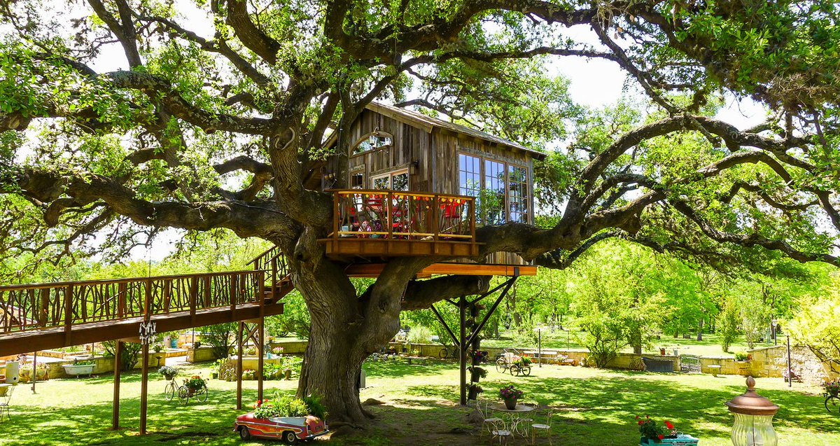 EmilyVanCamp97's tweet photo. Treehouse:
https://t.co/RO7ZSCfII2
ππ₯°π€‘ππ
If you like this, be sure to follow me on Youtube. Thank you so much for watching!
#treehouse #tinyhouse #tinyhouseinside https://t.co/3FtS8YbQ15