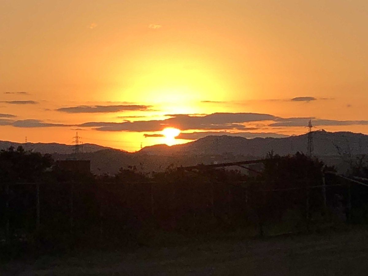 oitacitynet's tweet image. 皆様明けましておめでとうございます。
今年も皆様のお役に立てるよう努力してまいります。
皆様にとって本年も良い年になりますよう祈念致します。
そして、本年も大分シティネット不動産をどうぞ宜しくお願いいたします。