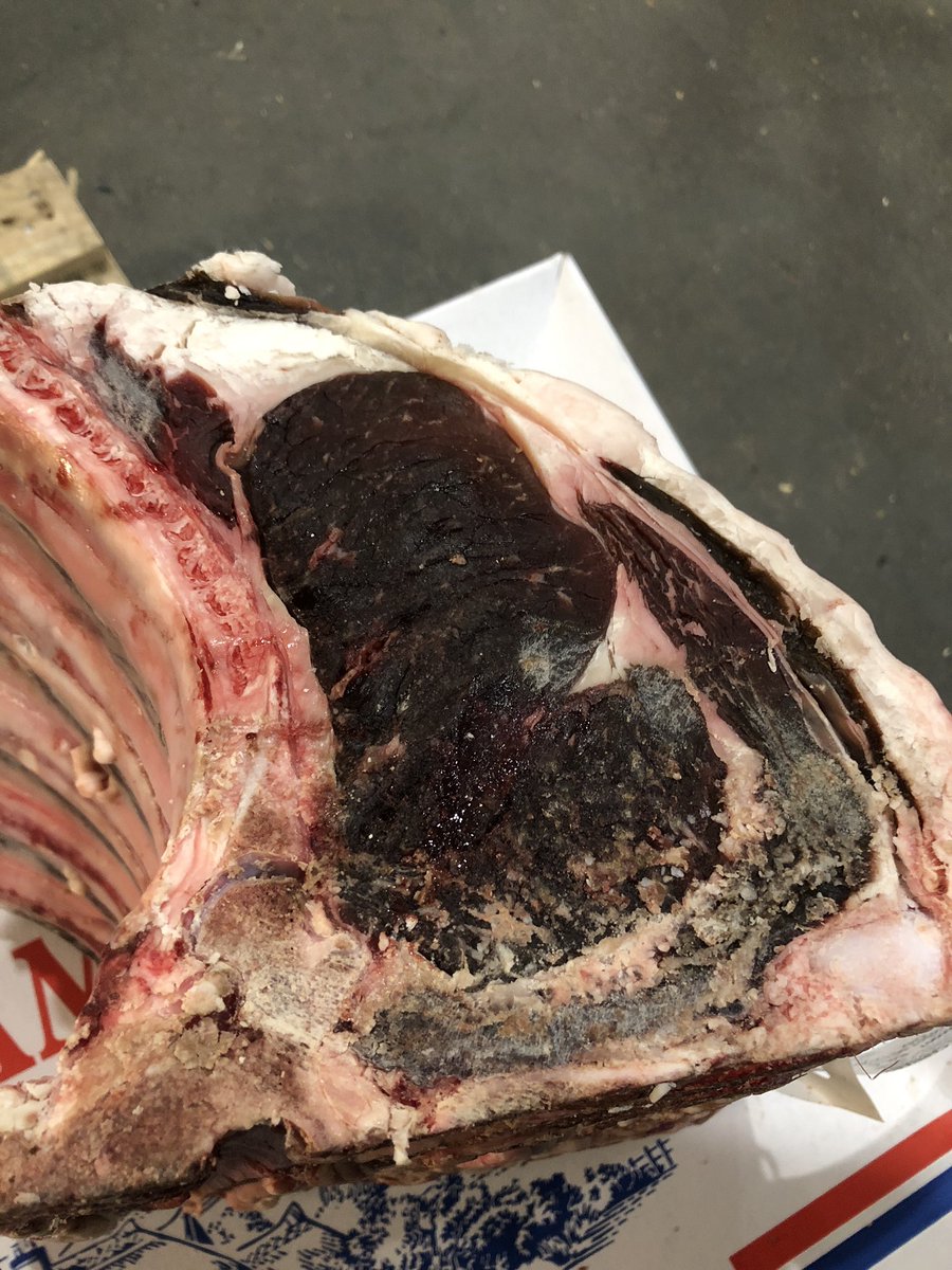 Who needs scotch beef when English ribs are dry aged to perfection like this! #butchers #sexybeef #dryage
