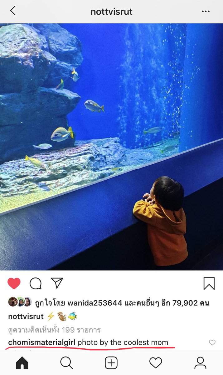 𝐴 𝑘𝑖𝑛𝑑 𝑜𝑓 𝑗𝑎𝑑𝑒 💚 เมษ์เอ๋ยเมษ์หมวย tweet media