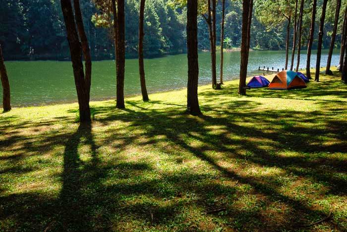 SpiceMunnar's tweet photo. #munnar #visitmunnar #kerala #visitkeralakeralatourism #letsgomunnar #iaminmunnar #iaminkerala #beautifulmunnar.
#Dreamcatcherplantationresort
#Spicecountryresort
#Madhumanthraresort https://t.co/iILmQULCtT