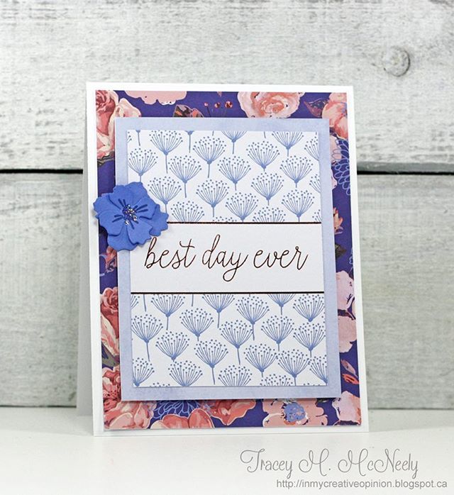 TraceyMcNeely's tweet photo. My third card from the December #12kitsofoccasions I wish the rise gold foiled sentiment wasn't so camera shy! #cards #cardmaking #handmade #handmadecards #papercrafts #papercrafting #creativelife #inmycreativeopinion #tw https://t.co/iky1UCLRR4