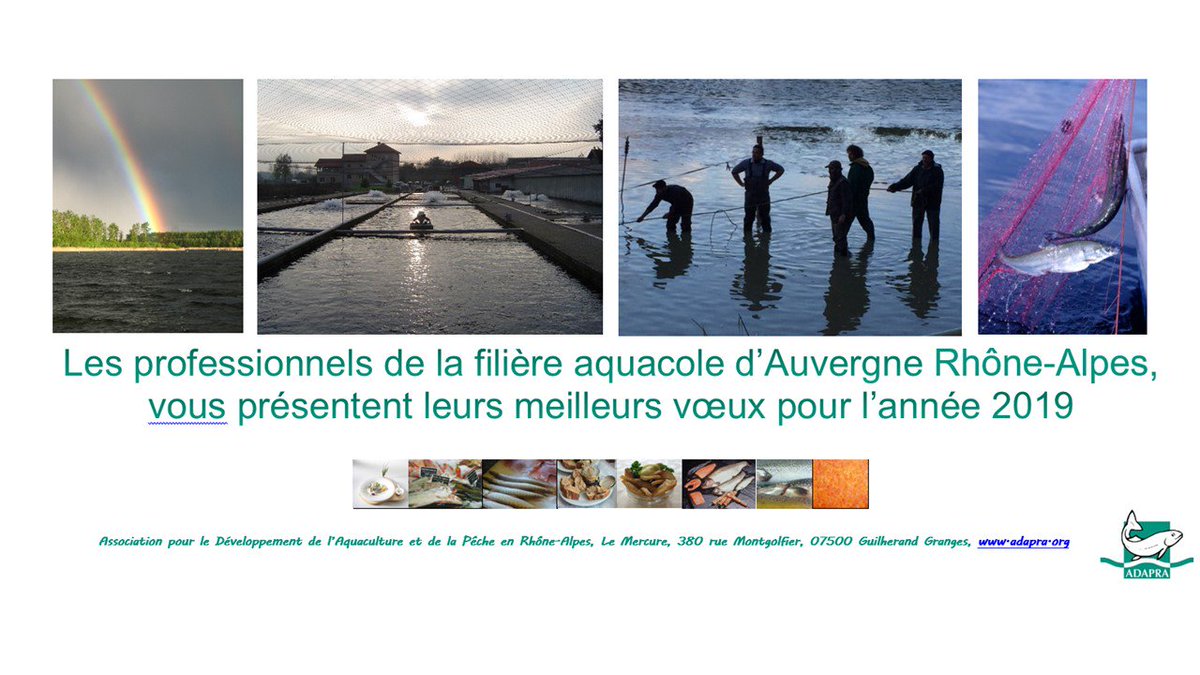 PoissonAURA's tweet photo. Les profesionnels de la filière aquacole de la région @auvergnerhalpes vous souhaitent une très bonne année 2019

Rendez-vous au @sirha_lyon au hall 2.1 stand G34 du 26 au 30 janvier 2018 à @eurexpo https://t.co/SlzDrxzEKp