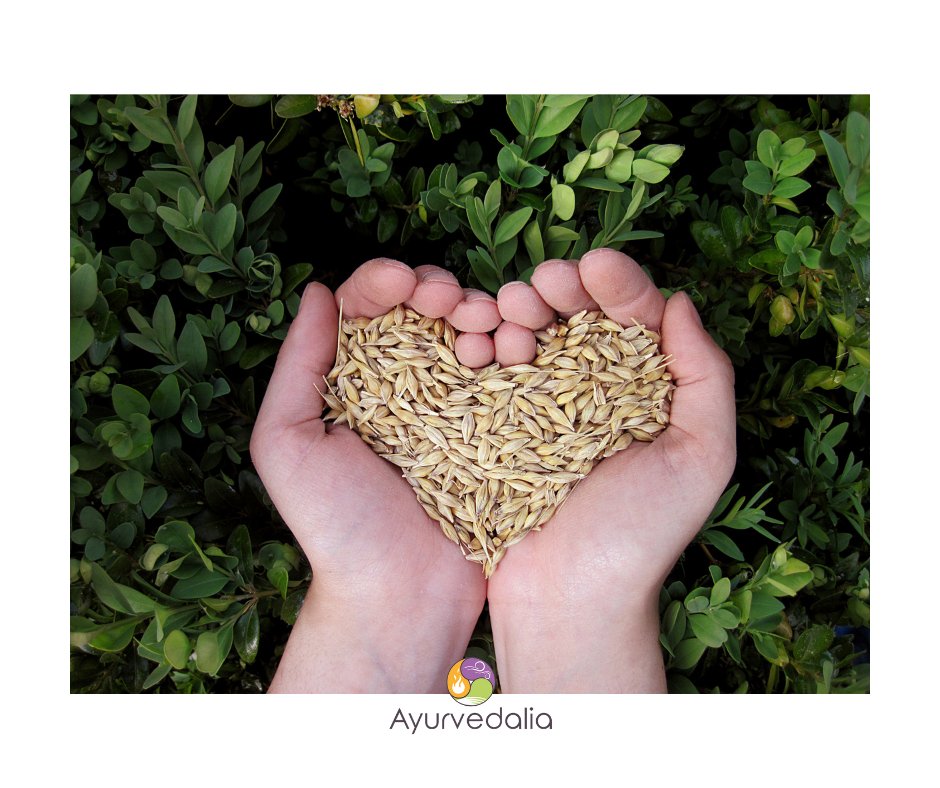 ayurvedalia's tweet photo. Los cereales 🌾 son un alimento fundamental para el ser humano, es uno de los nutrientes más completos que existen.  Son ricos en fibras, realizando una acción de limpieza del aparato digestivo.
‼Comer de una manera simple es sinónimo de salud. https://t.co/wpuUOoP50U