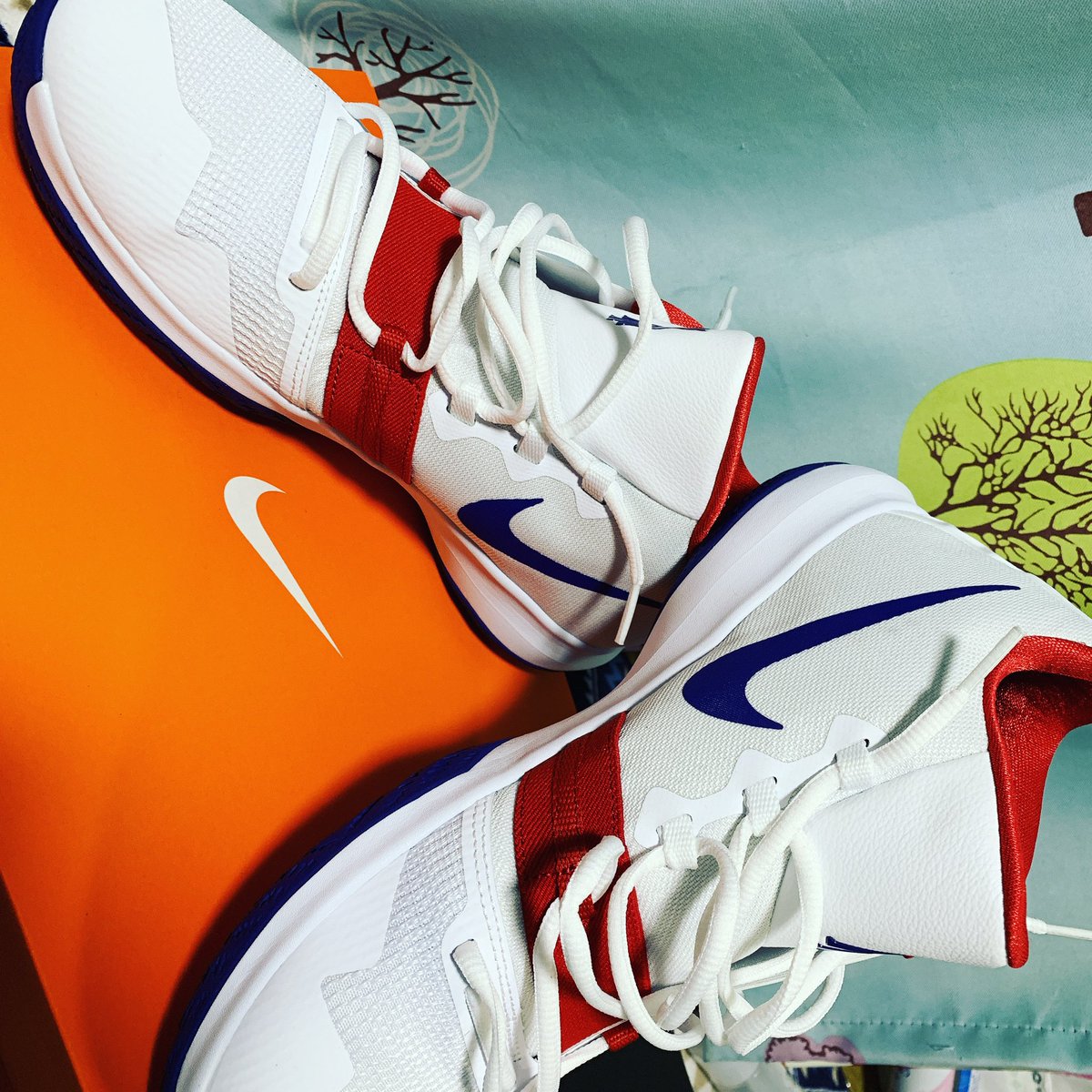 こじろう 箱推し Twitterren ヒマラヤ行ってバッシュ買ったら母も負けじと買ってた笑笑 意外に インスタ映えかも笑笑 そーいやこれtwitterやったわ