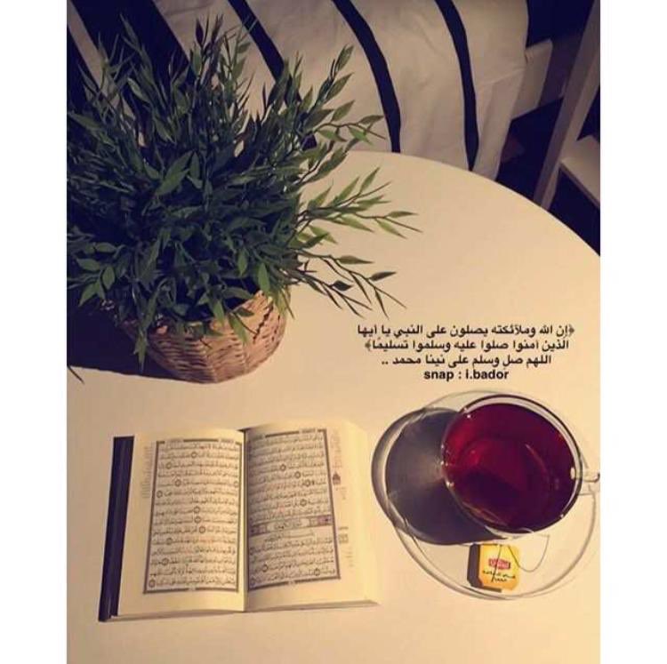 ❤✨ : _______ قالت مريم : "يا ليتني مِتُّ قبل هذا" ؛ ولم تعلم أن في بطنها نبي ، بعض الكُربات قد تحمل في طيّاتها كرامات فلا تيأس إن طال بك البلاء.
#جمعة_مباركة