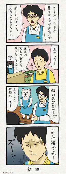 4コマ漫画レジネコ。「心の戦力なのだよ…私の…」by店長　 