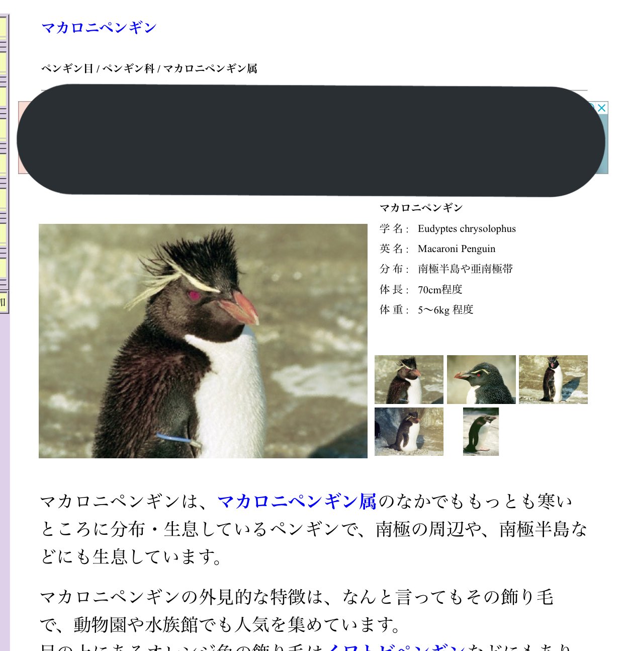 ぞうきん ペンギン警察だ