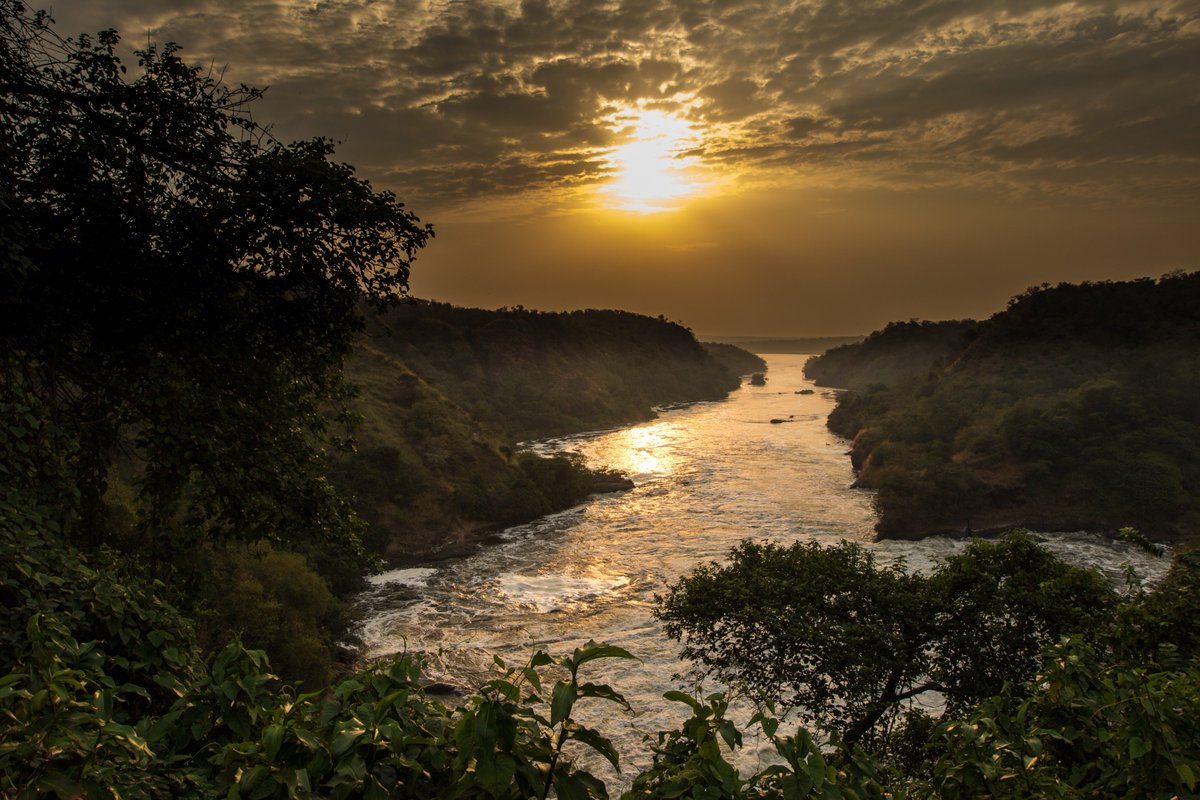 Uganda_Lodges's tweet photo. Sunsets are a proof that no matter what,every day can end beautifully - Kristen Butler
#SipFromTheNile
#WorldVisit🇺🇬#MFNP #UgandaLodges #BudongoEcoLodge #ChimpazeeTrekking #Birding #GameDrives #BoatCruise #HikeToTopOfTheFalls #ProudlyUg https://t.co/vtVPhpTeZM