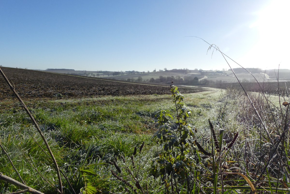 JeanFil4's tweet image. 🎉🎉Samuel, Médéric et Yohan vous souhaitent de filer un excellent coton 2019 dans la joie et la santé. 🎉🎉🎉

En attendant de découvrir notre nouvelle collection, voici des clichés de notre future parcelle cotonnière entre vignes et forêts.🍇📸🌳
