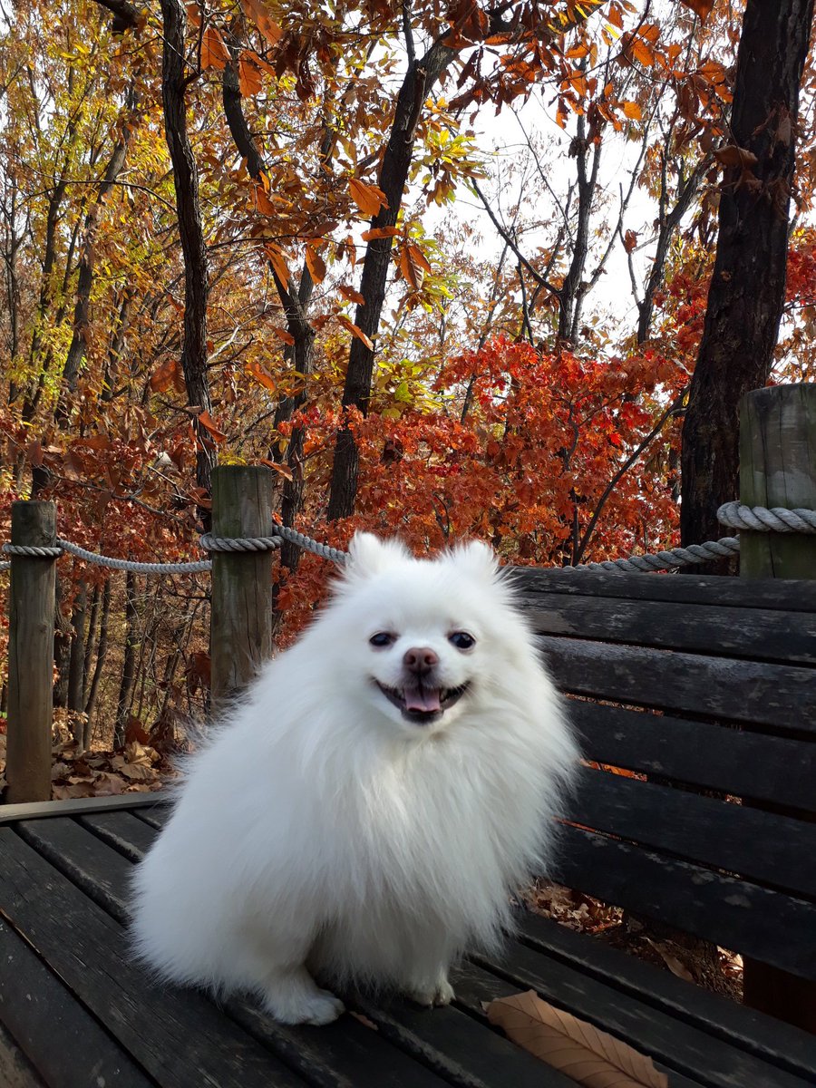 jian_moon's tweet photo. @DallasTechGirl My best friend said hi, Anna https://t.co/War6BlKmbQ