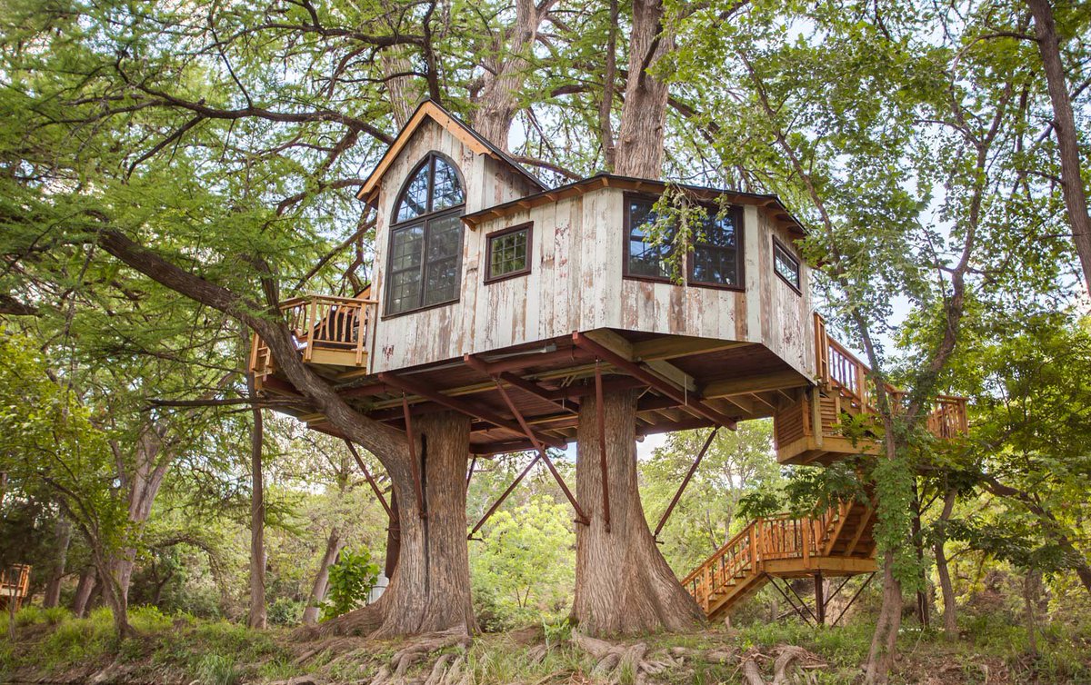 Anamulvoy96's tweet photo. Tree house plansππ₯°πβΊοΈπ:
https://t.co/W9JEYItO7i
If you like this, be sure to follow me on Youtube. Thank you so much for watching!
#treehouse #tinyhouse #tinyhouseinside https://t.co/SVuMdow7Kz