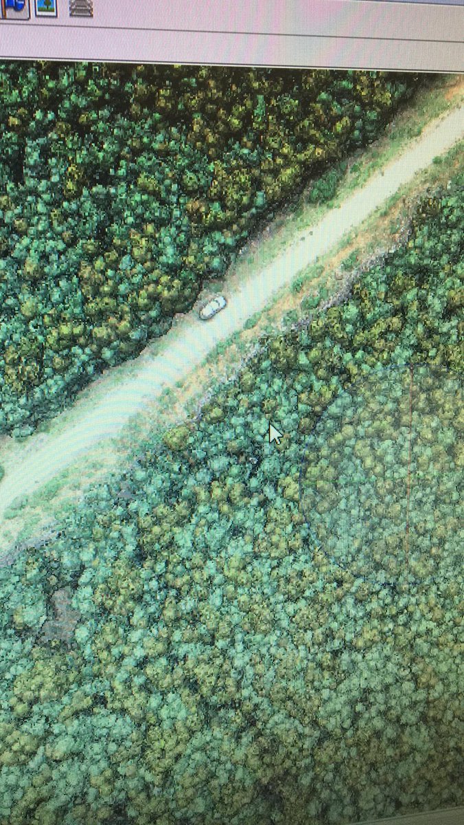 forestanu's tweet photo. Studying forest density and composition from the sky #dronesinecology #PhdChat research @unimelb with @gliderhabitat @TACAGEM @ozdendro https://t.co/ZnhfC4GXmw