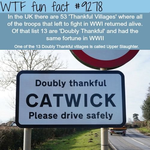 MissionYou2's tweet photo. #TriviaDay - another Factoid for you!  #Factoid #Trivia #Facts #RandomFacts #Fun 
#fridaynight #fridayfreeling #fridaynightlights #fridayfun #fridaynightdinner #fridayreads #fridayflow #fridayface #fridayfood https://t.co/kUEQolHLjz