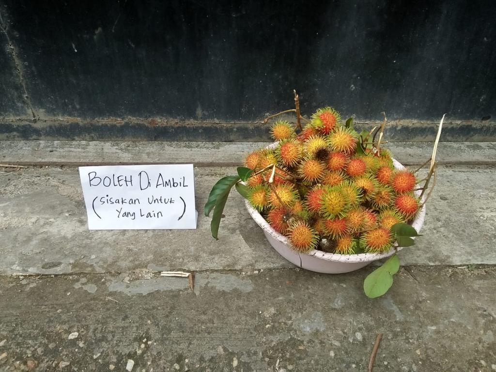 _kalade's tweet photo. Ada satu pohon rambutan di rumah, sedang berbuah tahunan. Ini ide istri dengan anak. Rejeki untuk yang lewat depan rumah dan yang pulang jumatan. 😉 https://t.co/kgU2EjGpgM