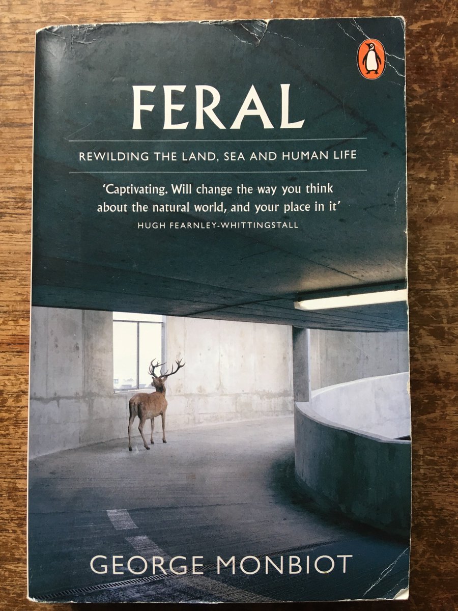 If you've not read this yet, I cannot recommend it highly enough. Change the way you see, think about and understand the mountains and landscapes we play in everyday. Feral by <a href="/GeorgeMonbiot/">George Monbiot</a> #georgemonbiot