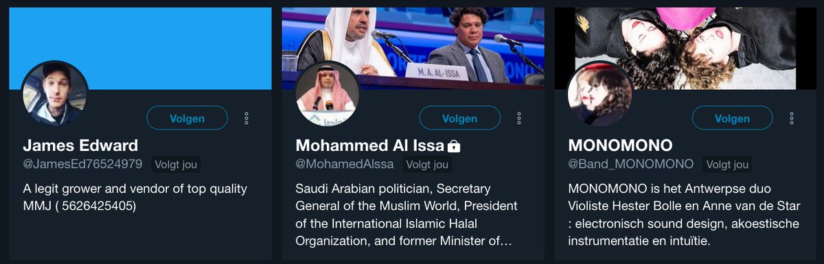 RBNDLM's tweet image. Weet niet aan wat voor algoritme ik deze interessante schare volgers te danken heb, maar ik vind de diversiteit fascinerend.