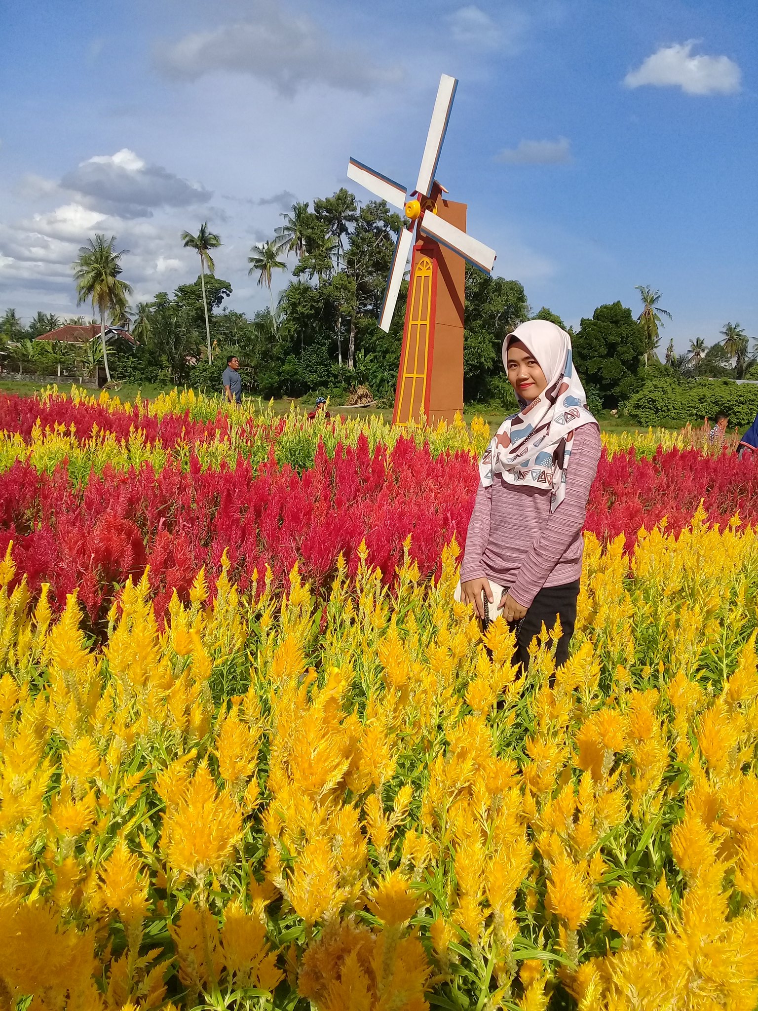 Leisha On Twitter Kebun Bunga Celosia Musirawas Merasi