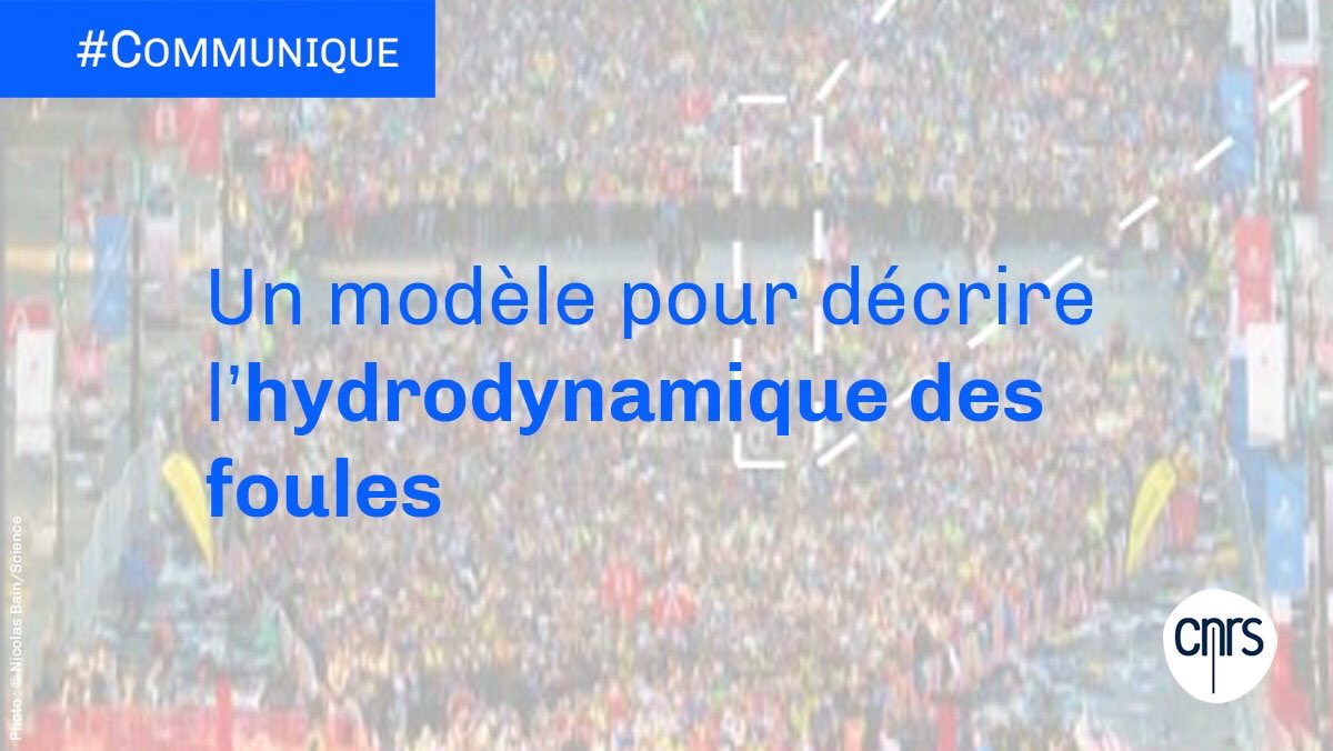 CNRS's tweet photo. #Communiqué 🗞️ | En étudiant les déplacements de coureurs au départ de marathons, des chercheurs montrent que les mouvements collectifs de ces foules peuvent être décrits comme des écoulements liquides.

➡️ https://t.co/GadbPPfX87

📕 @sciencemagazine | https://t.co/gDkKuD5mX4 https://t.co/HDDb03Kmao