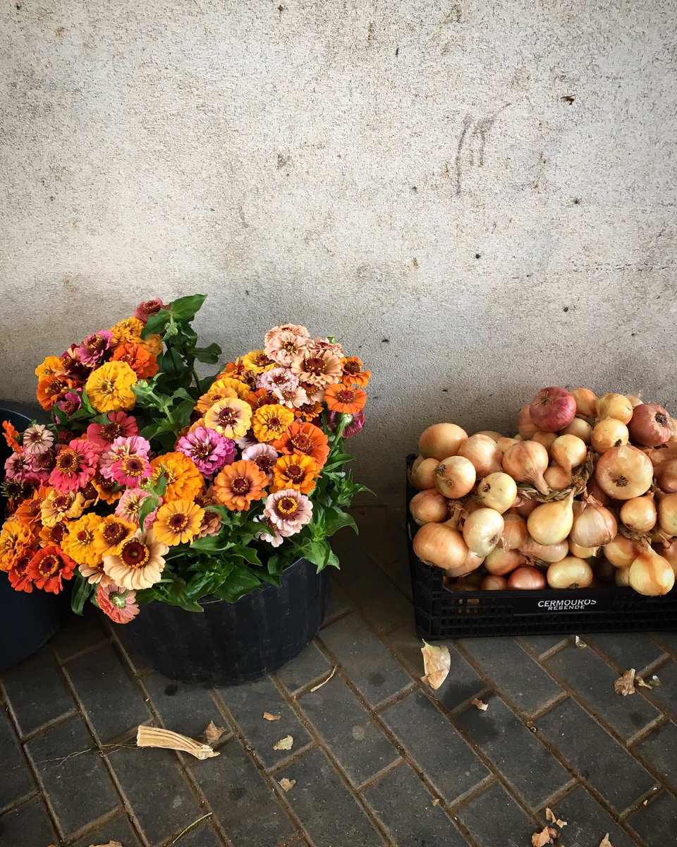 JWengorovius's tweet image. Onion bouquet? French flower soup? Onion blossoms? Flower rings? Flower gratin? Florions?#creativetechniques #randomwords #edwarddebono #randomingredients #creativity