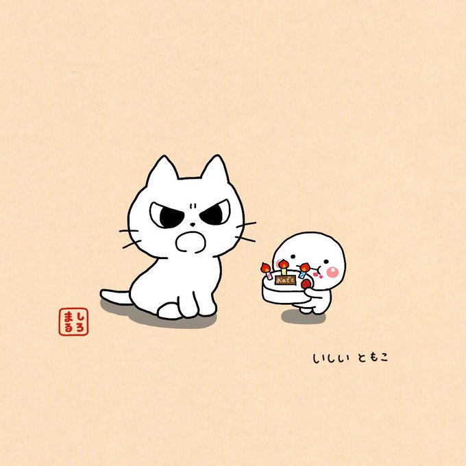 「座る 白い猫」のTwitter画像/イラスト(古い順)