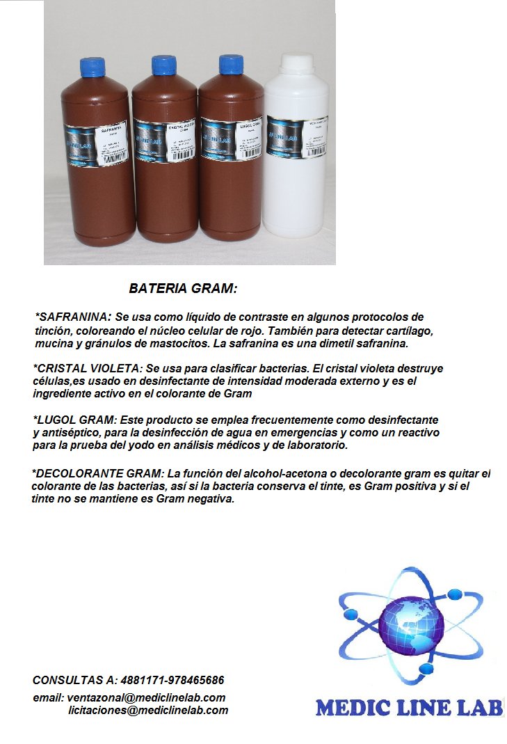 LabSrl's tweet image. 