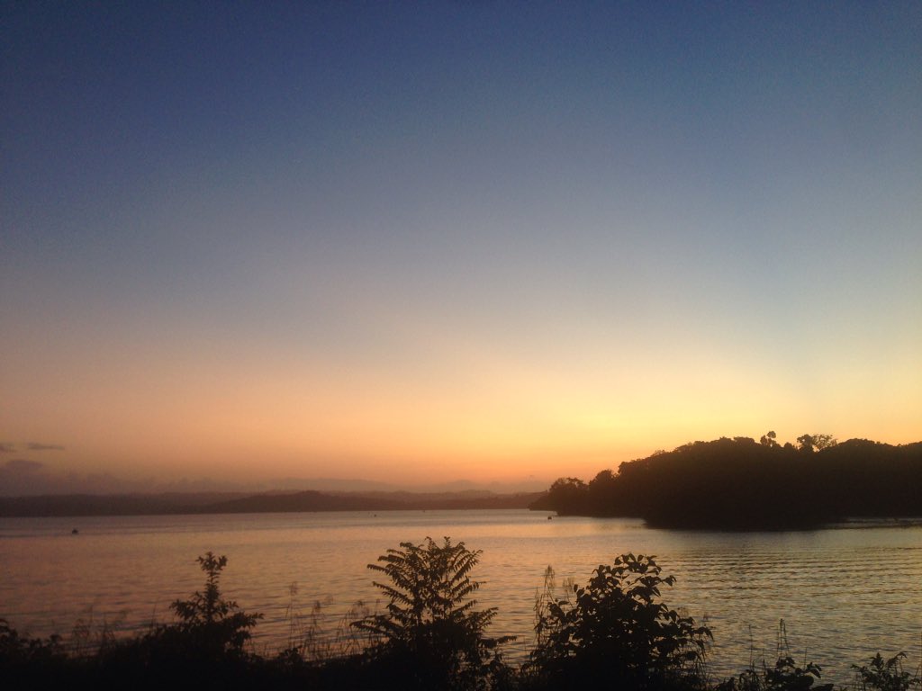 BCI sunrise. #BCI #BarroColorado #Panama